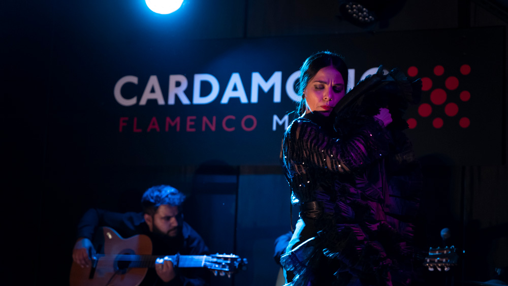 Bailaora Vanesa Coloma (Madrid)