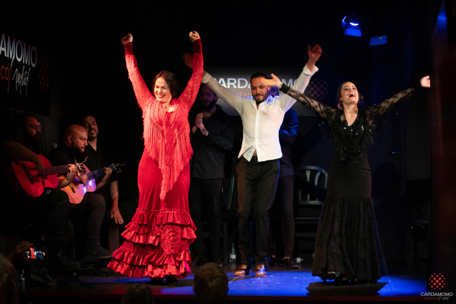 Cuadro Flamenco de Cardamomo en un Fin de Fiesta de uno de nuestros shows