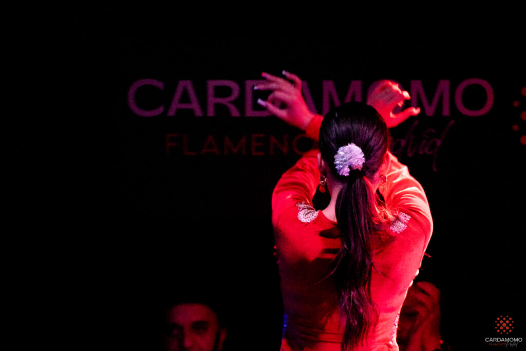La silueta de una bailaora de flamenco a contraluz en el escenario de Cardamomo. Su figura se recorta sobre un intenso fondo rojo, mostrando el poder de la iluminación artística en el Cardamomo.