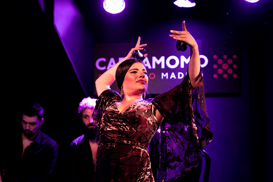 Bailaora flamenco en primer plano en pose flamenca con las manos en alto